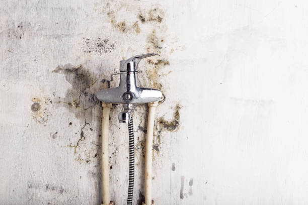 Best Mold Removal Process  in East Gaffney, SC