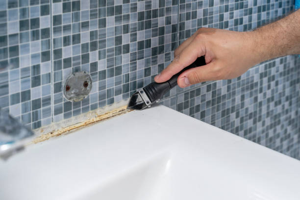 Best Mold Testing  in East Gaffney, SC