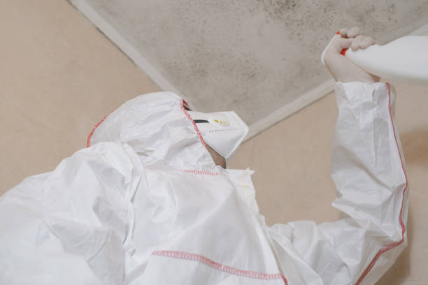 Best Professional Mold Removal  in East Gaffney, SC